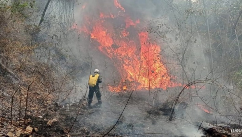 incendios forestales