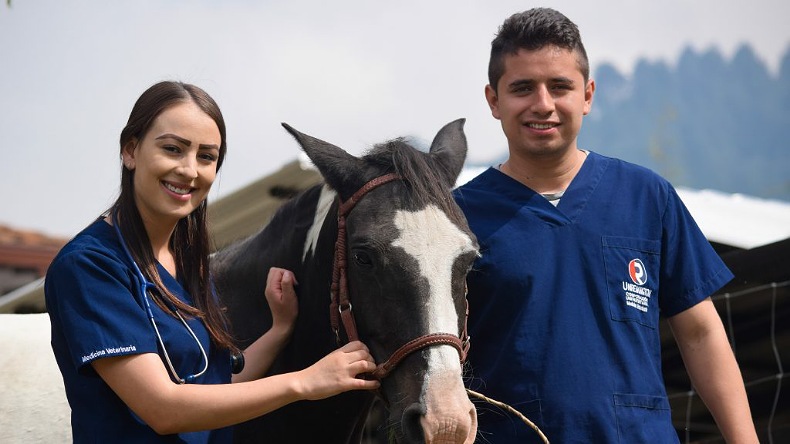 WhatsApp Image 2021 03 17 at 1.32.54 PM