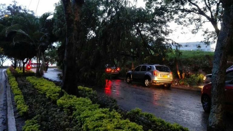 Lluvias en Ibagué causa estragos
