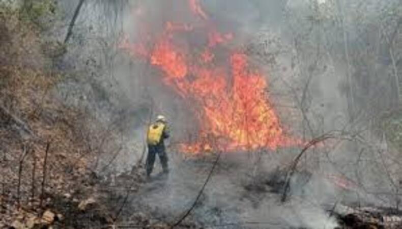 fuego_1.jpg
