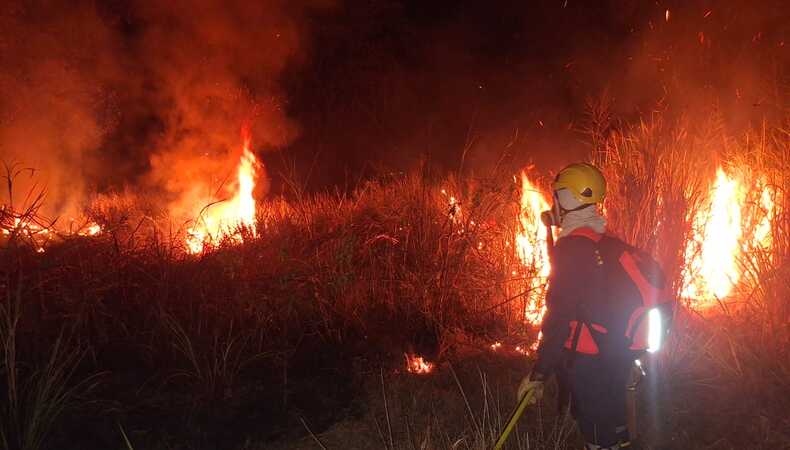 incendiofores17_1.jpg