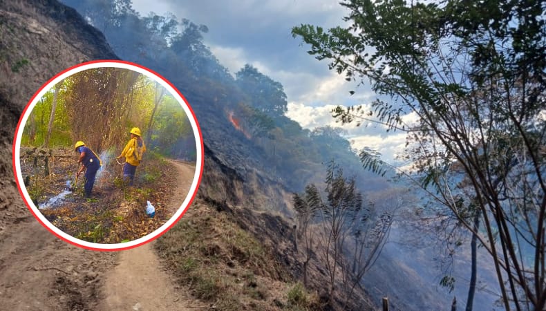 incendios.jpg