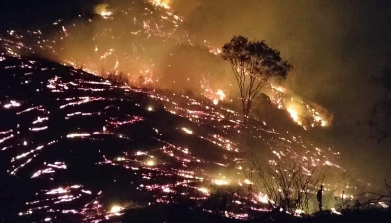 incendiosforestaleshonda.jpg
